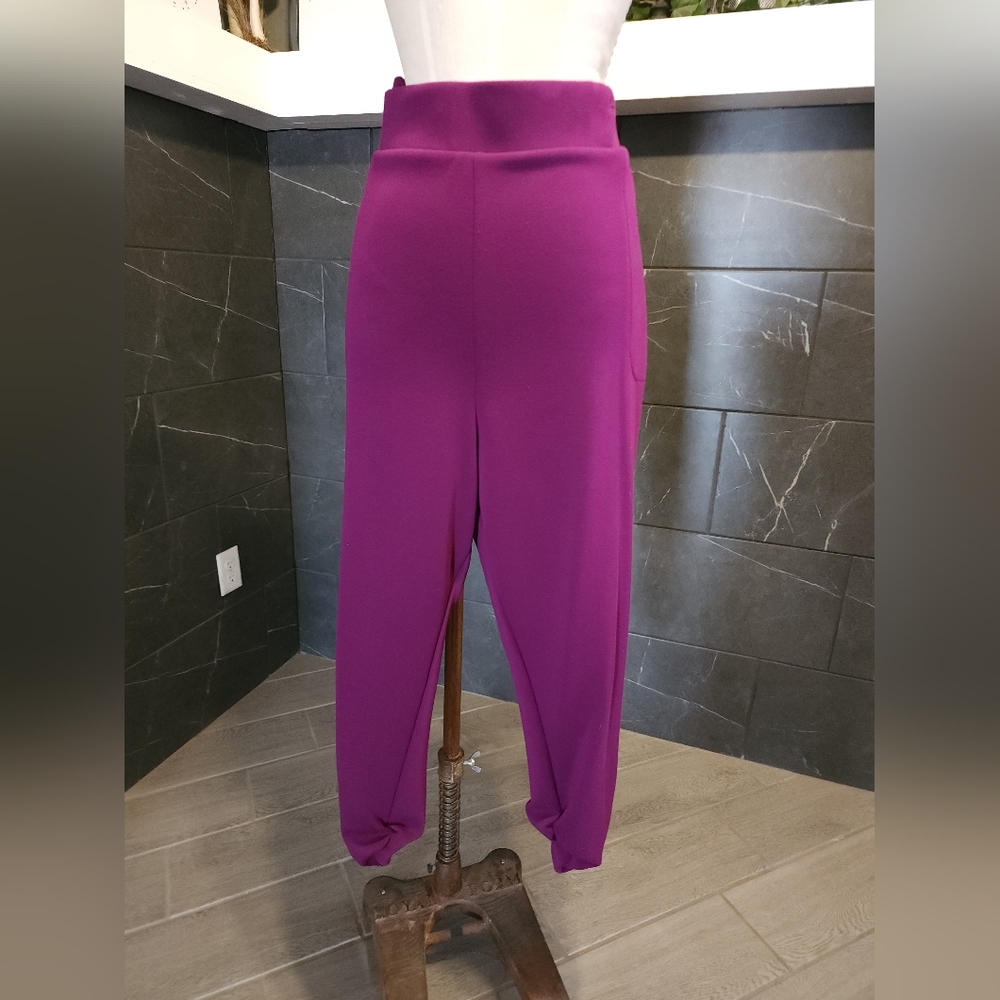 Torrid Studio Crop Pants w/pockets